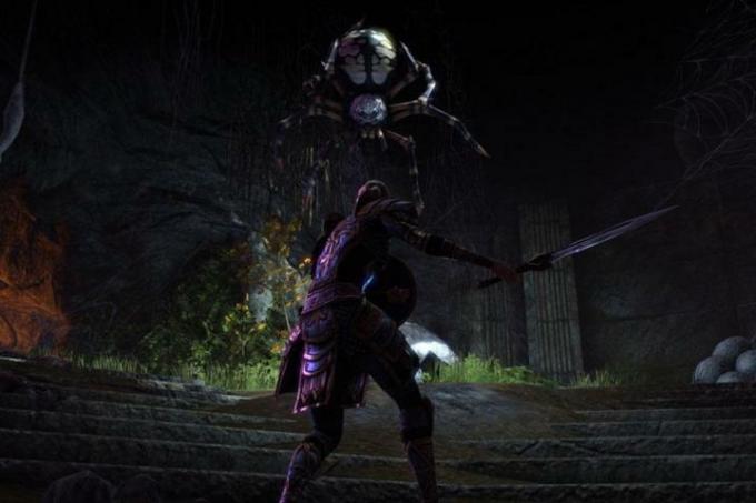 Combattimento in solitario di The Elder Scrolls Online.