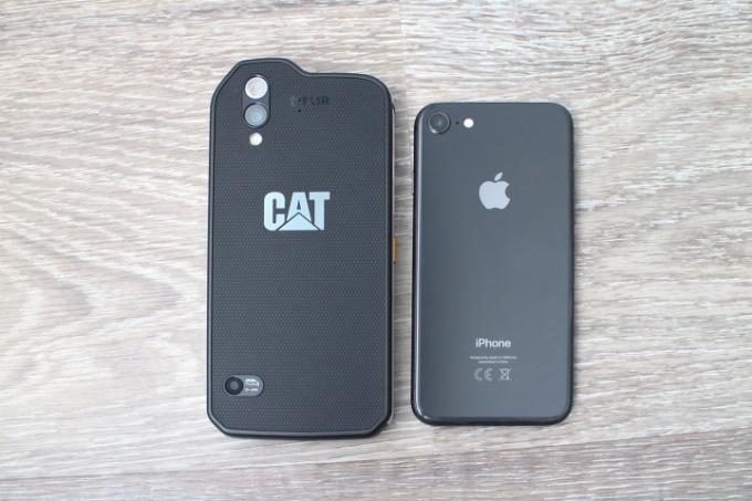 comparação do iphone gato s61