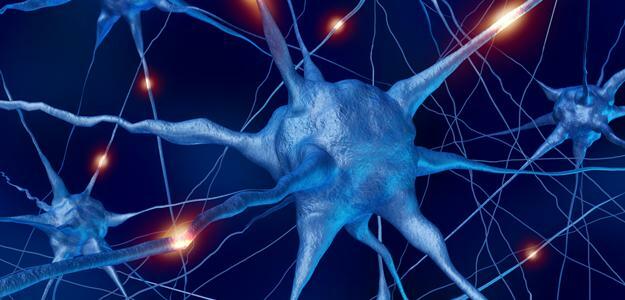 neurony mózgu pamięć internet
