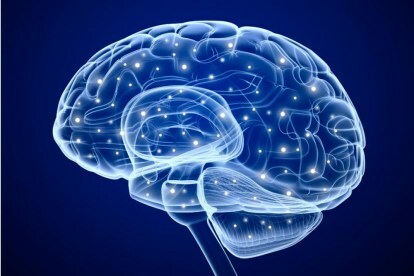 fałszywe doświadczenia zakorzenione w ludzkich mózgach brainimagedarpa1