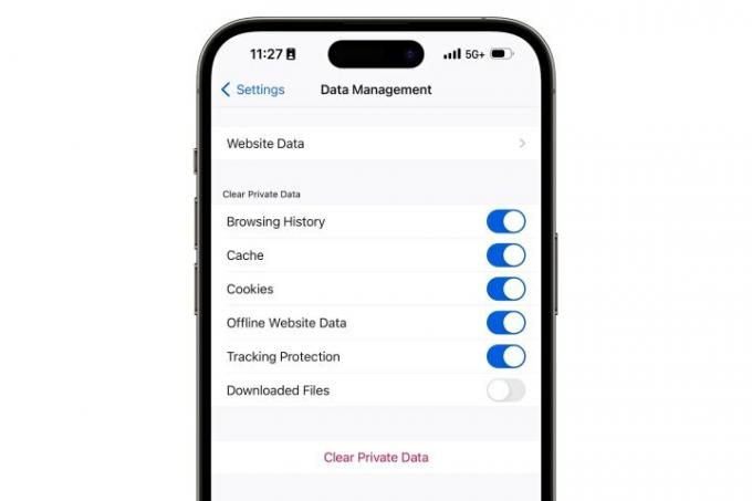 Firefox на iPhone показва опции за управление на данни.