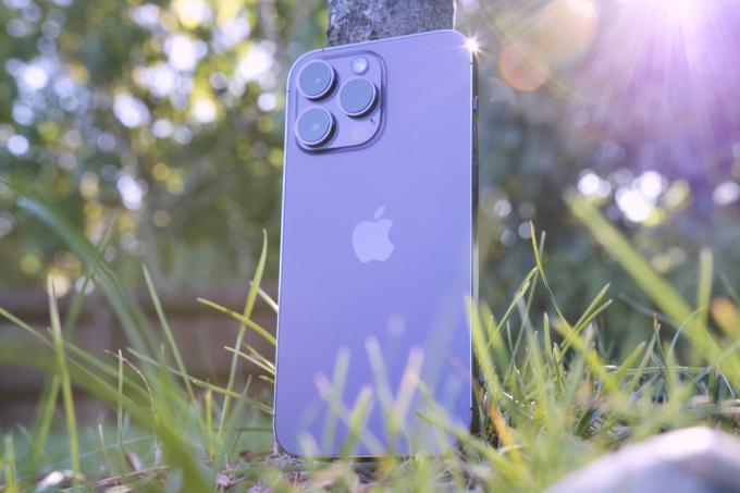 iPhone 14 Pro Max parado contra un árbol.