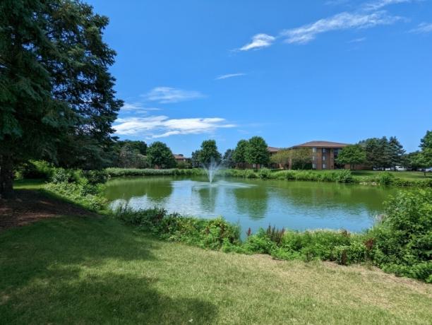 Eine helle, sonnige Szene draußen. Wir sehen einen grasbewachsenen Hügel, einen strahlend blauen Himmel und einen kleinen Teich mit einem Springbrunnen darin.