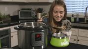 YaDoggie Fresh on inimkõlbulik koeratoit, mida küpsetate oma kiirpotis
