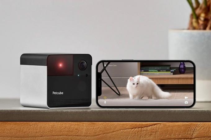 De Petcube Play 2 met de bijbehorende app geopend naast de camera.