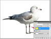 كيفية إضافة طبقات إلى صورة في Adobe Photoshop