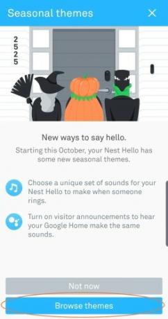 A notificação de temas da temporada no app Google Home para o Halloween.