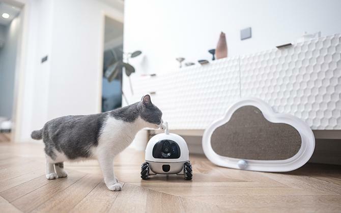 Rocki-roboten med en katt.