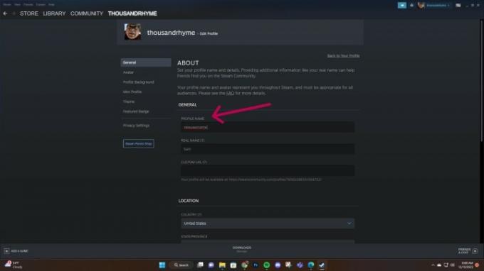 Stran za urejanje profila Steam.