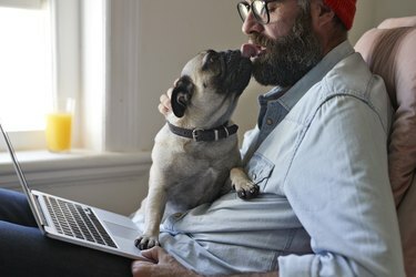 Muž sedící s notebookem společně se psem Puck