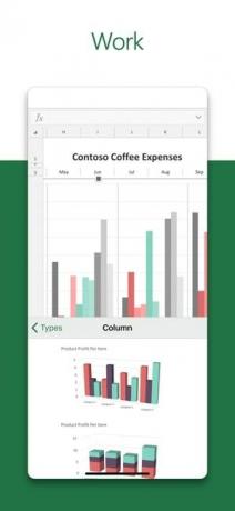 Знімок екрана програми Microsoft Excel із текстом «Робота» та зображенням гістограми