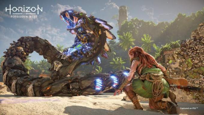 Aloy betrachtet einen riesigen Slitherfang in Horizon Forbidden West.