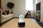 To so zavese za Kuri: projekt Robot Companion hits the Buffers