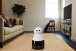 Sunt perdele pentru Kuri: Proiectul Robot Companion Hits the Buffers