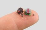 Tiny Robotics Challenge a DARPA se numește Jocurile Olimpice SHRIMP