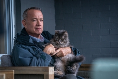 Tom Hanks segura um gato em A Man Called Otto.