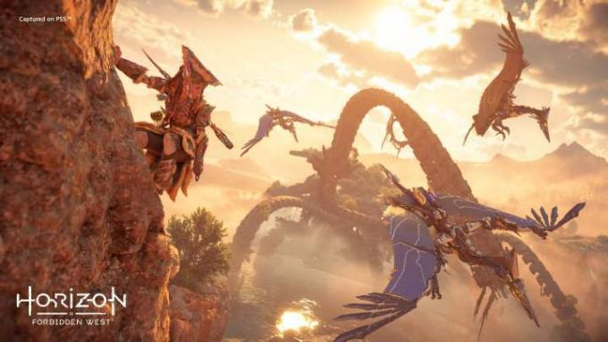 Aloy, Horizon Forbidden West'te bir uçuruma tırmanıyor.