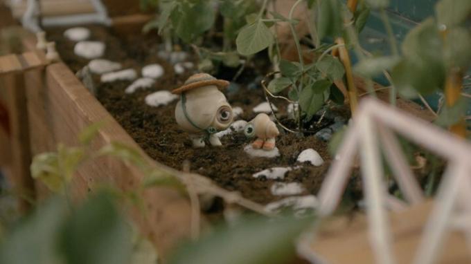 Ο Marcel the Shell και η γιαγιά του, Connie, στέκονται σε ένα μικροσκοπικό κρεβάτι κήπου με επένδυση από πέτρες.