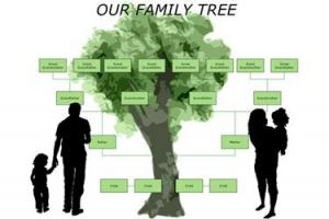 วิธีการกู้คืนไฟล์ Family Tree Maker