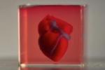 Учени отпечатаха 3D истинско сърце, използвайки човешки клетки