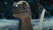 Novo trailer de Jurassic World Dominion apresenta Baby Blue