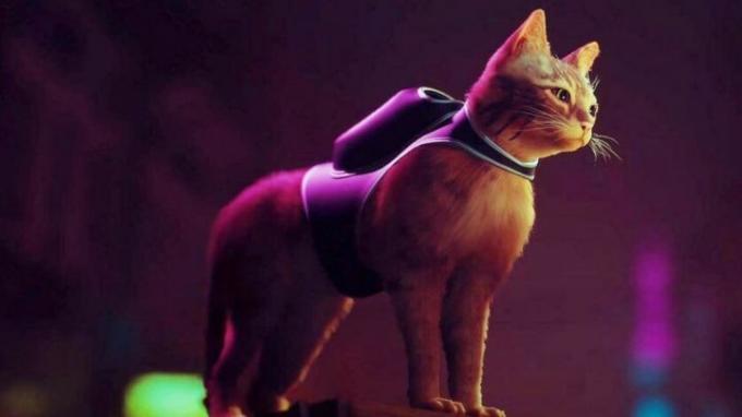Protagonist potepuške mačke stoji pred neonsko osvetljenim mestom.