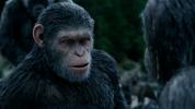 Recenze War For The Planet Of The Apes: Brilantní konec epické ságy