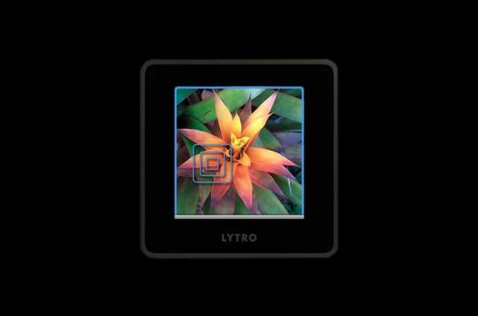 Lytro 라이브 뷰 크리에이티브 모드