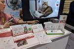 CES 2019 Dilengkapi dengan Gadget Teknologi Hewan Peliharaan untuk Kucing dan Anjing