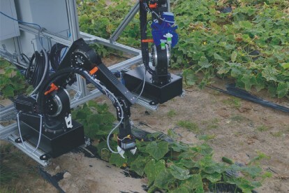 Robot na sběr okurek pomůže farmářům se sklizní okurek