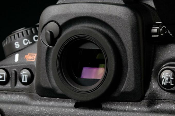 Nikon D810 レビューファインダー