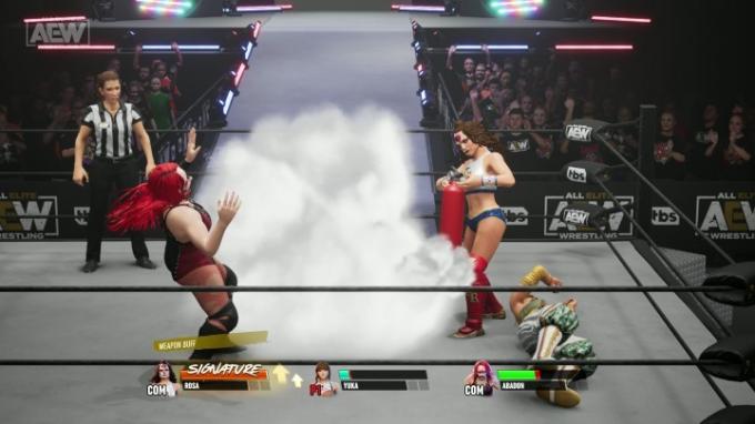 Ein Blick auf ein In-Game-Match von AEW: Fight Forever.