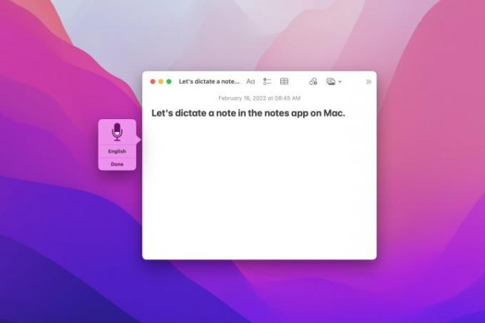 hvordan man bruger diktat mac notes app