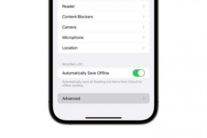 Safari의 고급 설정 옵션이 강조 표시된 iPhone.