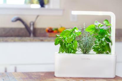 nov click grow smart herb garden danes lansira po vsem svetu amp