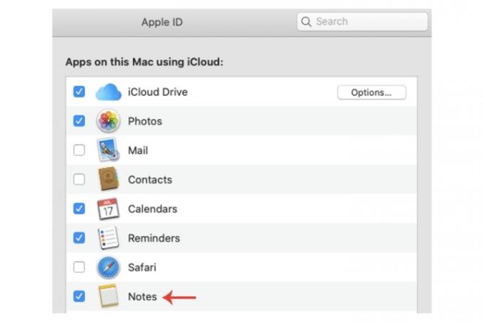 Habilitando o aplicativo Notes para se conectar ao iCloud no Mac.