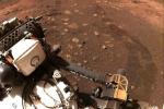 Perseverance Rover percorre Marte pela primeira vez