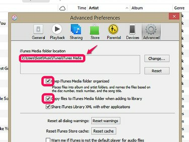 „iTunes“ išplėstinės nuostatos