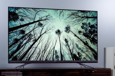 Зображення дерева на телевізорі Hisense U9DG.