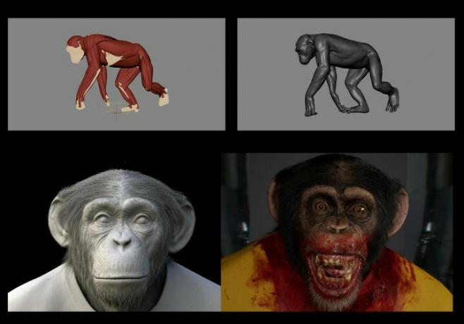Nope のチンパンジーのゴーディの画像を視覚効果で処理します。