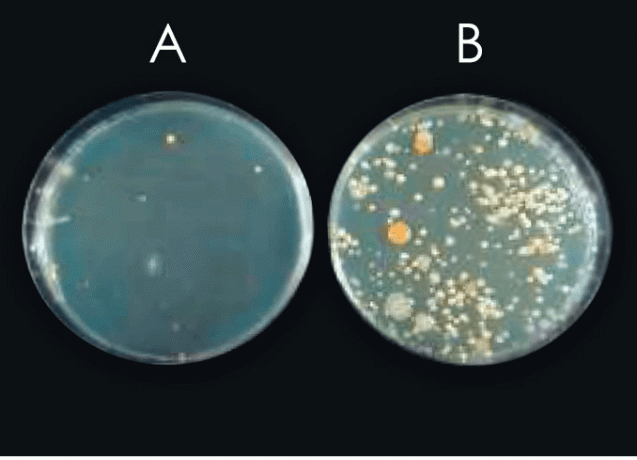 Posnetek zaslona 2015-10-01 ob 13.35.24