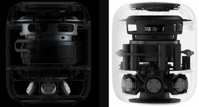 Diagrama do interior dos Apple HomePods de segunda e primeira geração lado a lado.