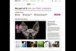 Getty Images прекращает сотрудничество с Flickr и сохраняет контракты с пользователями