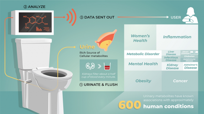 ストレートフラッシュ: スマートトイレが将来の健康革命となり得る理由