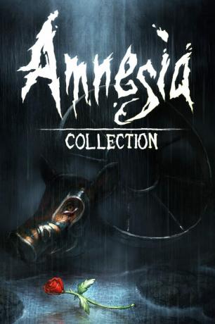 Amnesia: Colección