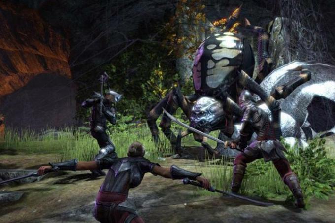 Combat au corps à corps dans The Elder Scrolls Online.