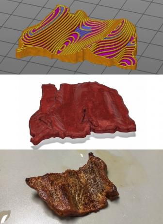 Modelo de bife impresso em 3D NovaMeat para produto acabado