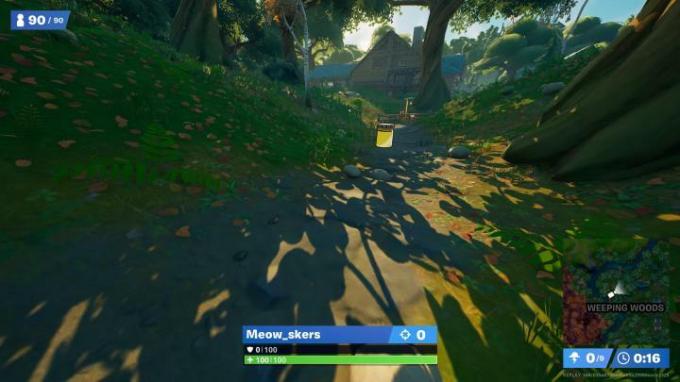 Ubicación de la botella de color del puente Weeping Woods en Fortnite. 