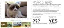يعرض برنامج Flickr "Park or Bird" برنامج التعرف على الصور