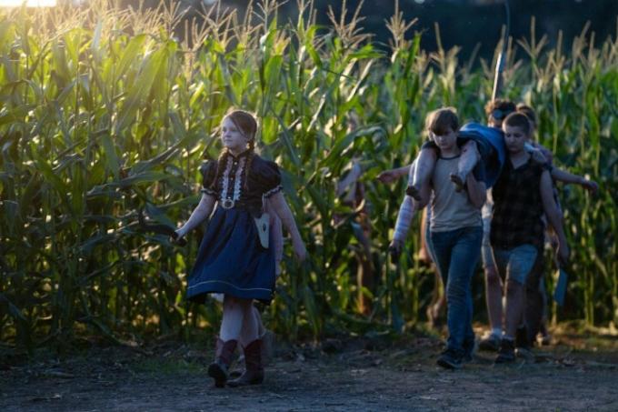 Kukurūzas bērni staigā kukurūzas laukā.